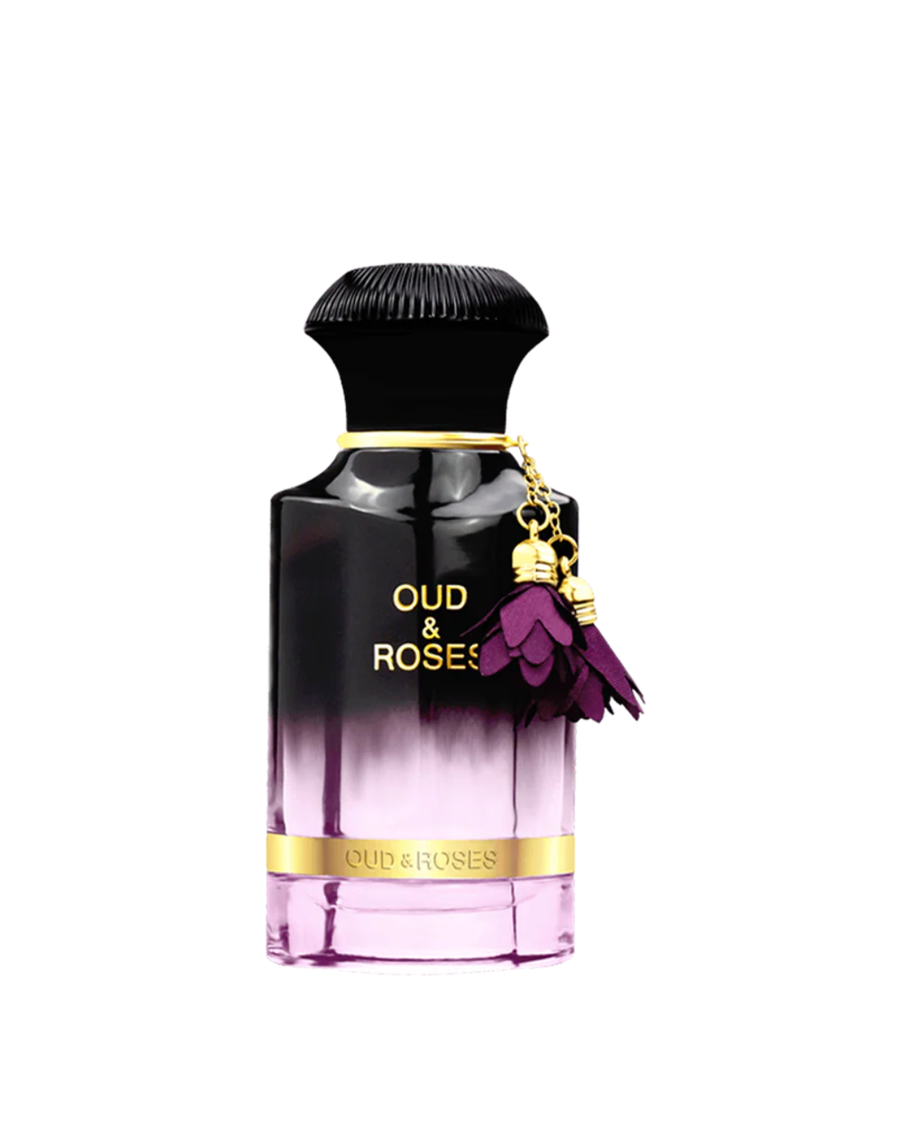 Oud & Rose Eau De Parfum - 60ML - Scent Studio